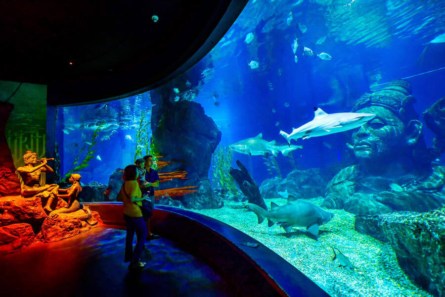 Siam Ocean World Aquarium - Top Place to Visit in Bangkok